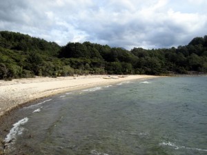 The Camping-Beach